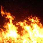 Firefighters Quell Blaze at Seafood Plant