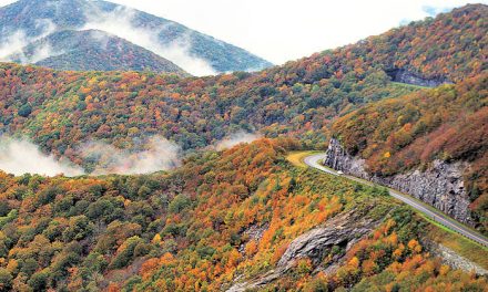 Blue Ridge Parkway to Reopen