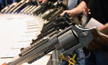 Democrats’ gun safety bills progressing in legislature