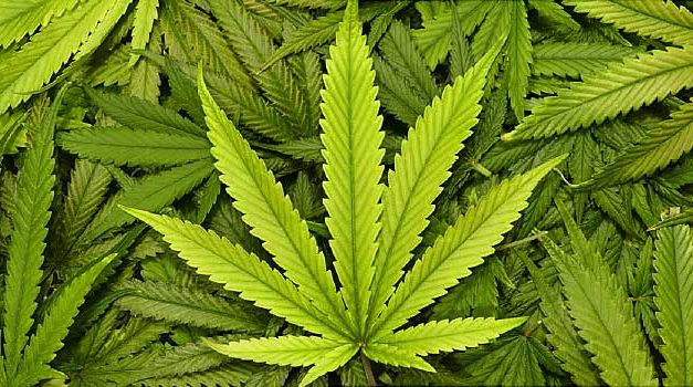 Virginia lawmakers pass bills to legally buy and sell cannabis