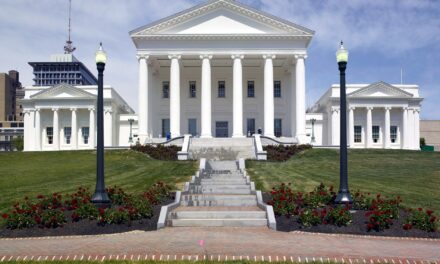 Virginia consumer protection bills meet mixed results in assembly