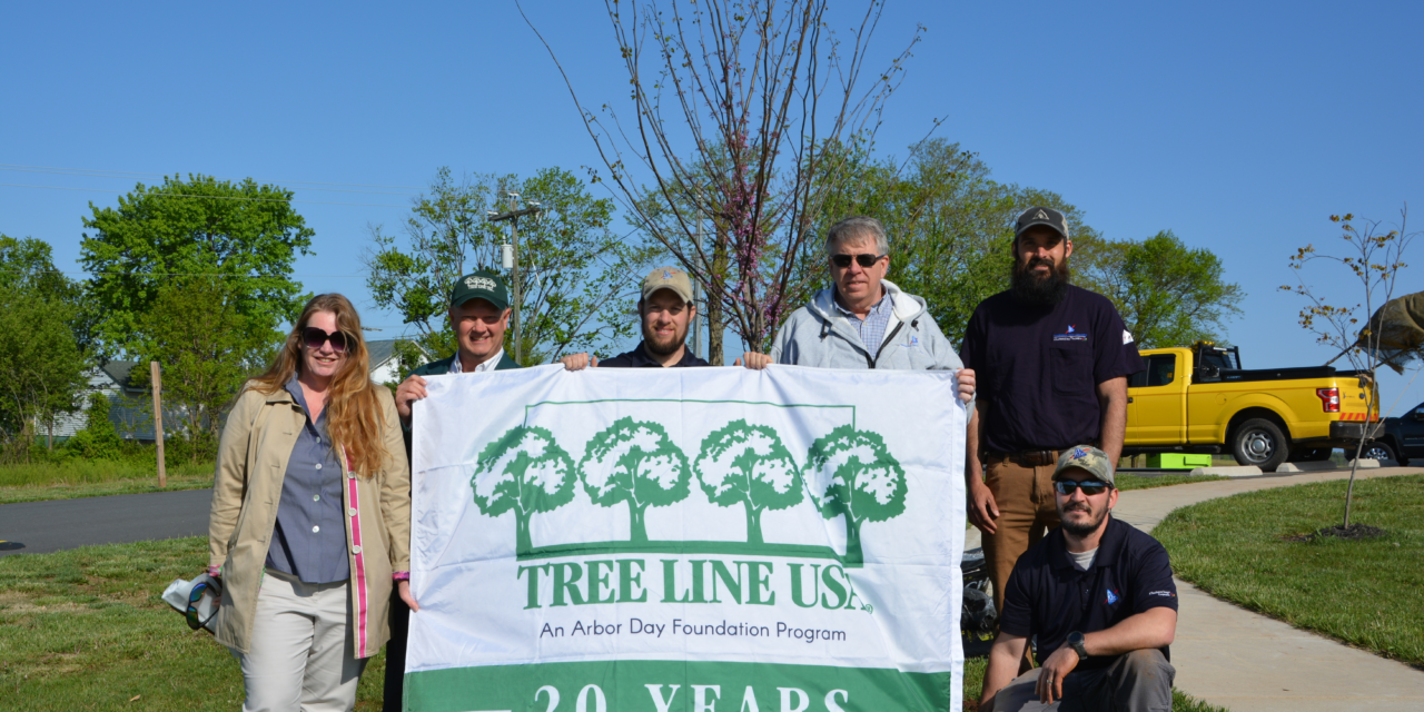 REC Receives Prestigious Tree Line USA Designation