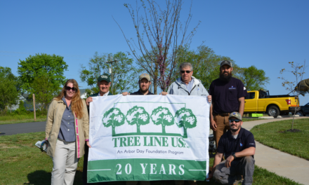 REC Receives Prestigious Tree Line USA Designation