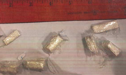 VADOC Announces Results of Large Drug/Contraband Shakedown at Greensville Correctional Center
