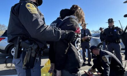 9 protesters arrested after wrapping themselves in wire, lying down on I-95