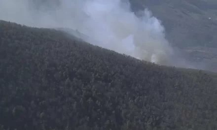 Crews battle scores of wildfires in Virginia, including a blaze in Shenandoah National Park