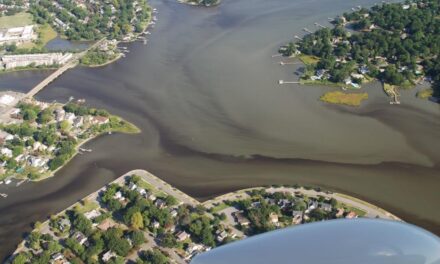 Chesapeake Bay cleanup far from 2025 goals, despite some progress