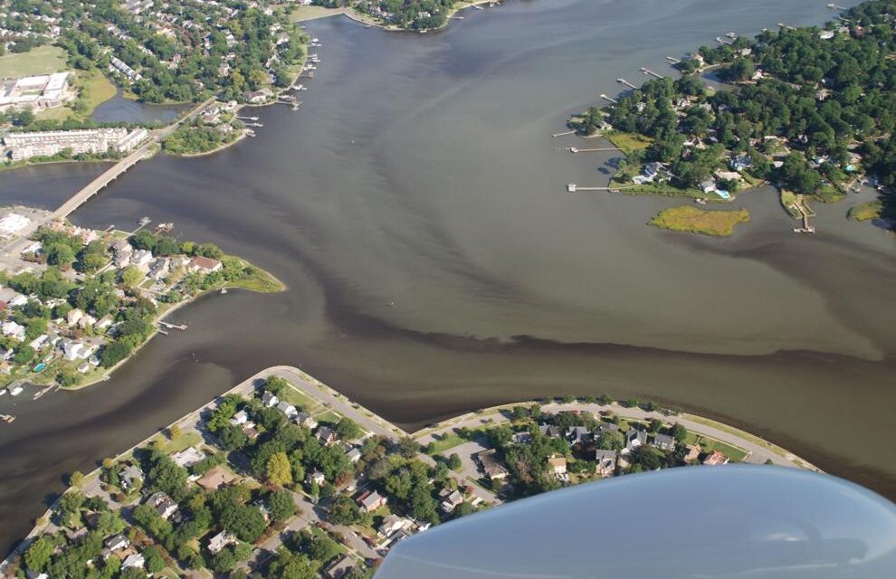 Chesapeake Bay cleanup far from 2025 goals, despite some progress