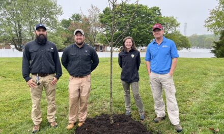 REC Receives Tree Line USA Designation For 23rd Consecutive Year