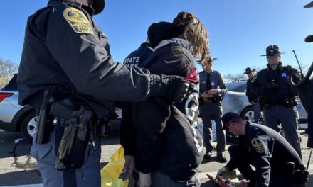 Pro-Palestine protesters sentenced for blocking Richmond interstate