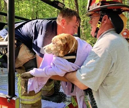 Fire and Rescue save dog from well in Goochland County