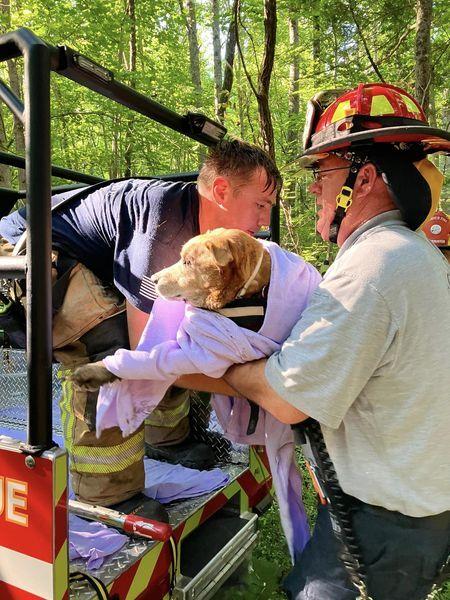 Fire and Rescue save dog from well in Goochland County