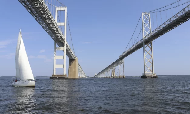 Overall health of Chesapeake Bay gets best grade in more than 2 decades, annual report shows