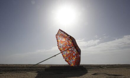 Warner, Kaine call for rules on flyaway beach umbrellas