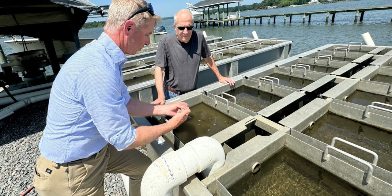 Wittman Highlights Virginia’s Seafood Industry During Roundtable and Tour in Gloucester