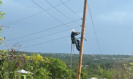 NNEC Lineworker, Gena Boarman, and Team Complete Power Restoration in Jamaica