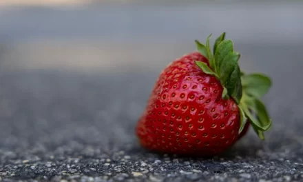 Strawberry disease could threaten Virginia’s spring harvest