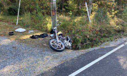 Virginia State Police investigate single vehicle crash in Gloucester County, resulting in a fatality.