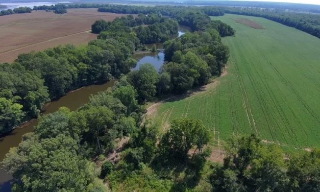 568 New Kent County acres permanently protected from development