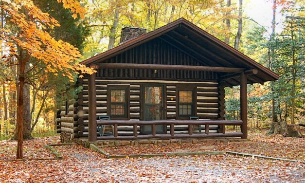 Cabins and/or campground renovations to take place at seven Virginia State Parks