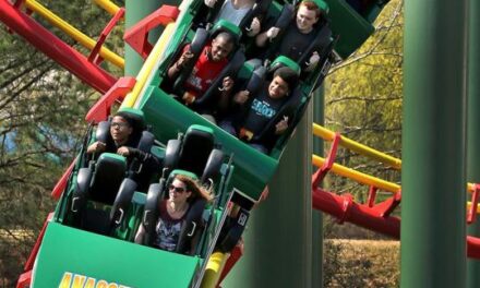 Kings Dominion to demolish Anaconda roller coaster