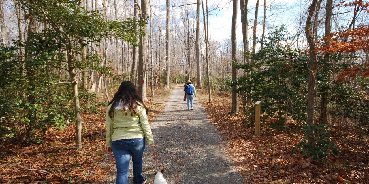 Visit a Virginia State Park for your First Day Hike