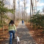 Visit a Virginia State Park for your First Day Hike