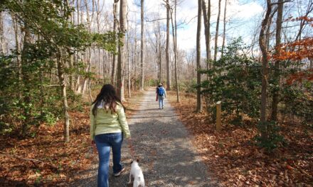 Visit a Virginia State Park for your First Day Hike