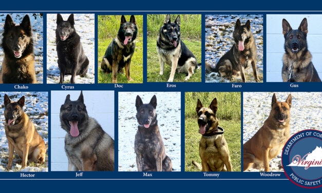 Virginia Department of Corrections K9s to get donation of body armor