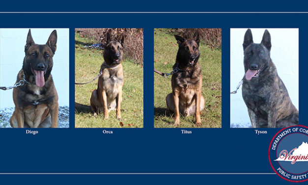 Virginia Department of Corrections K9s Diego, Orco, Titus, and Tyson to get donation of body armor