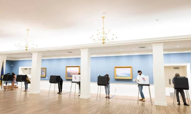 Virginia: Same-day registration soared in 2024 election, strained system