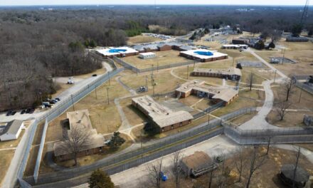 State watchdog to audit Bon Air juvenile facility