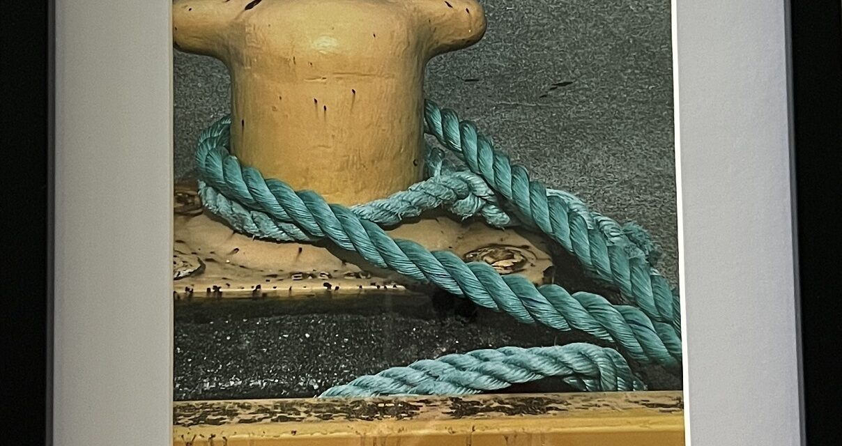 New TAG Member Show Acqua e Aria opens Friday May 30