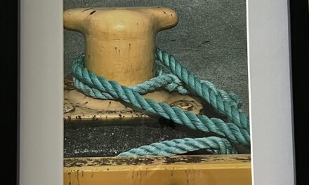 New TAG Member Show Acqua e Aria opens Friday May 30