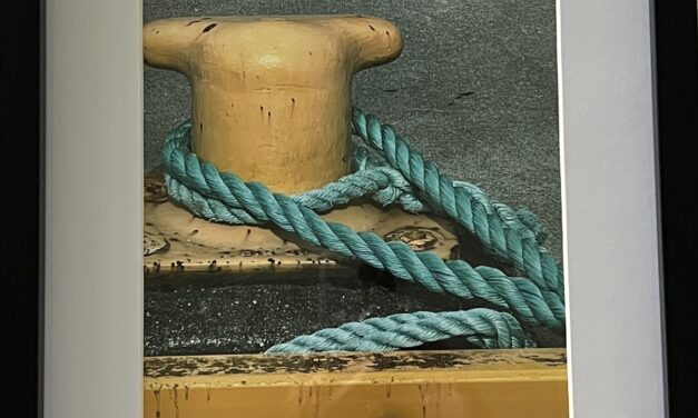 New TAG Member Show Acqua e Aria opens Friday May 30