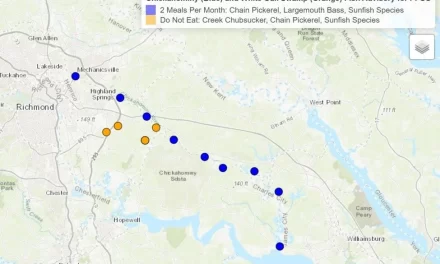 VDH: increased levels of ‘forever chemicals’ found in Chickahominy fish