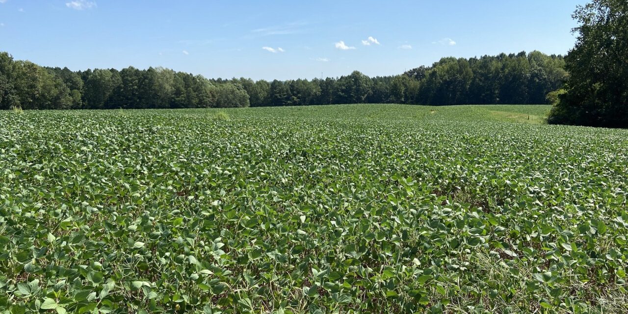 Virginia Land Conservation Foundation opens record $15.3 million grant round 