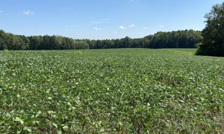 Virginia Land Conservation Foundation opens record $15.3 million grant round 