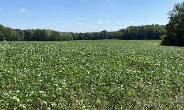 Virginia Land Conservation Foundation opens record $15.3 million grant round 