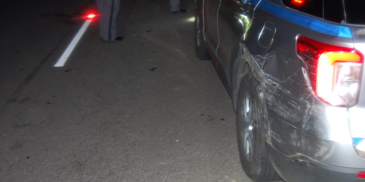 Virginia State Trooper struck by a drunk driver while on a traffic stop.