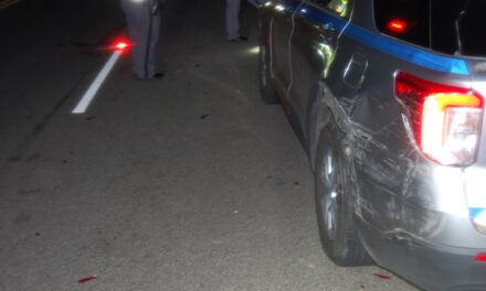 Virginia State Trooper struck by a drunk driver while on a traffic stop.