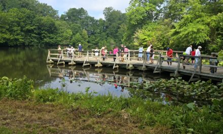 Rappahannock Wildlife Refuge Friends Named Friends Group of the Year