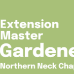 Bloom & Grow Sets Roots With Inaugural Festival