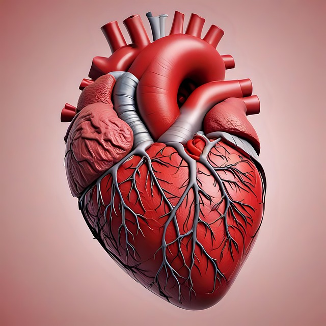 Richmond organ transplant contractor furloughs 90 employees during shutdown