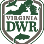 DWR Investigates Mass Bird Death in Tappahannock