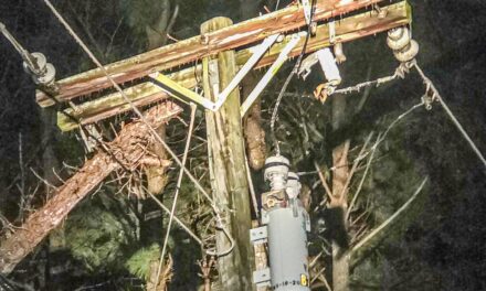 NNEC Responds to Outages Caused by Fern