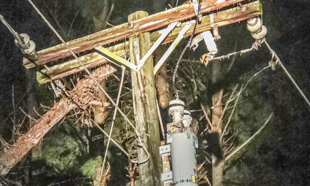 NNEC Responds to Outages Caused by Fern