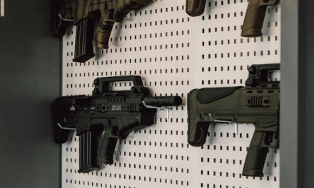 Gun permit bill gutted, online gambling stumbles in Senate