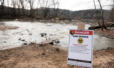 A Virginia boater is suing a Washington utility for the Potomac River sewage spill