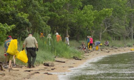 Join Clean the Bay Day efforts at Virginia State Parks